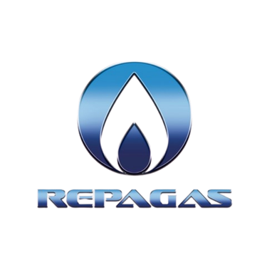 Logo REPAGAS